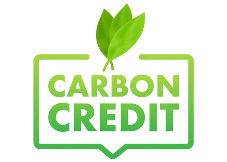 How To Buy Carbon Credits A StepbyStep Guide To Reducing Your Carbon